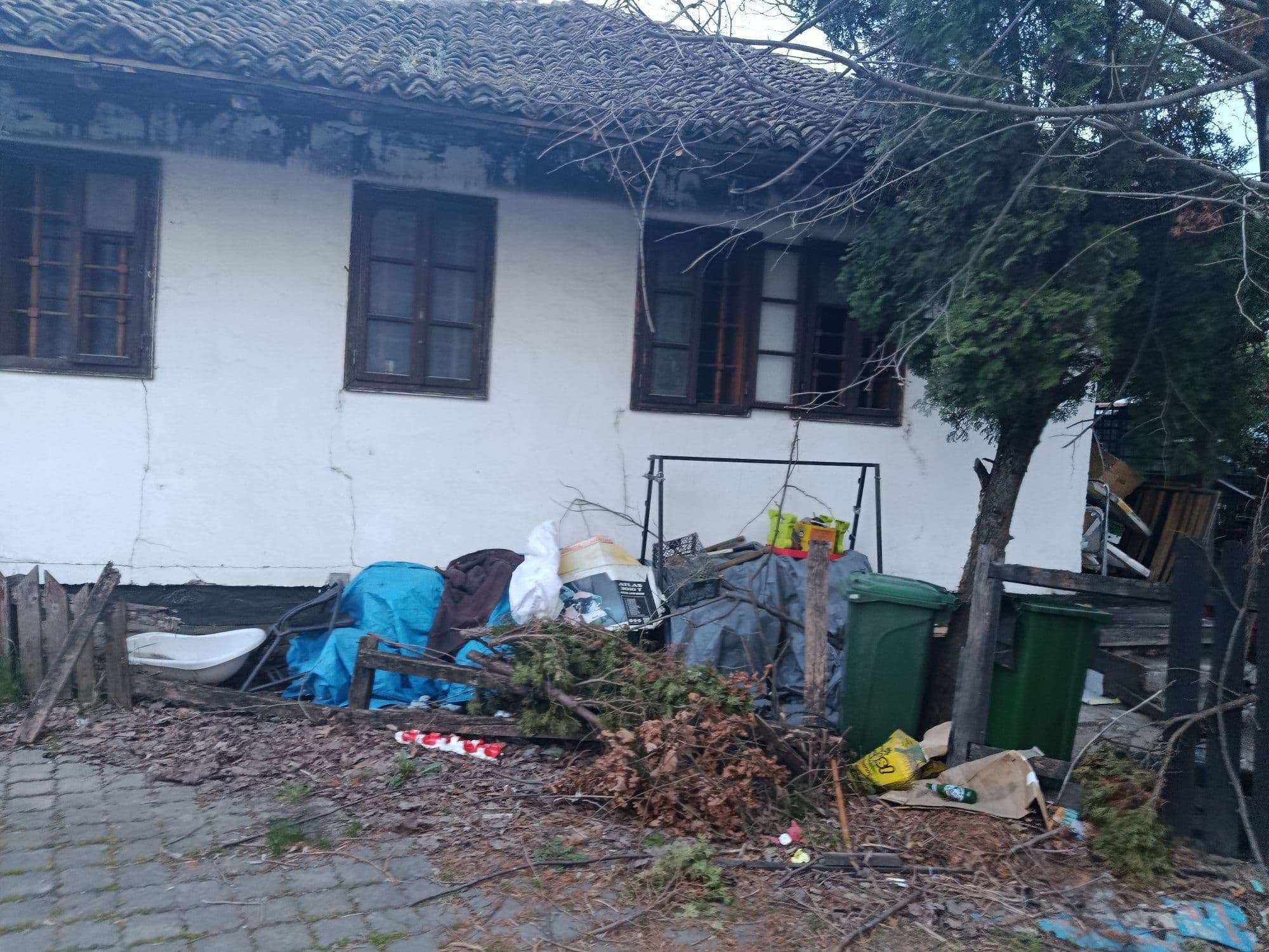 Обнова Српске задужбине — слика 1