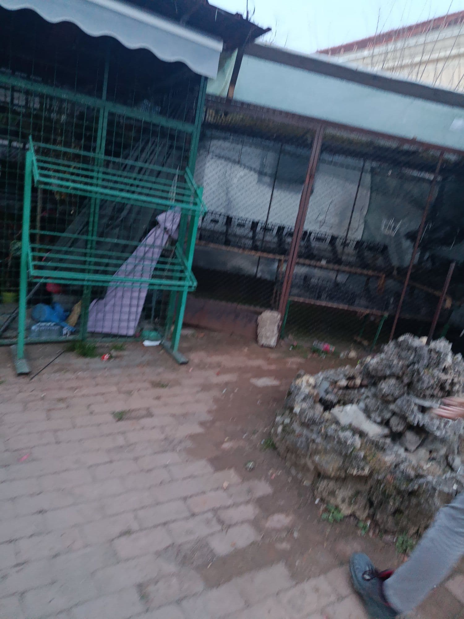 Обнова Српске задужбине — слика 2