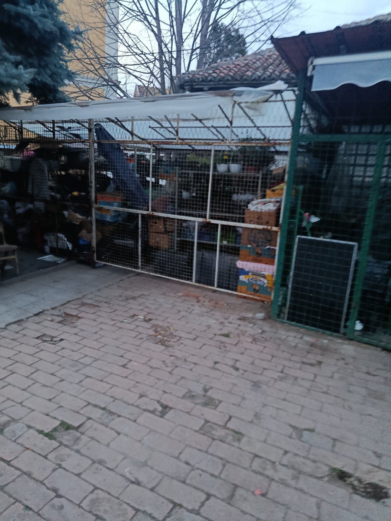 Обнова Српске задужбине — слика 9